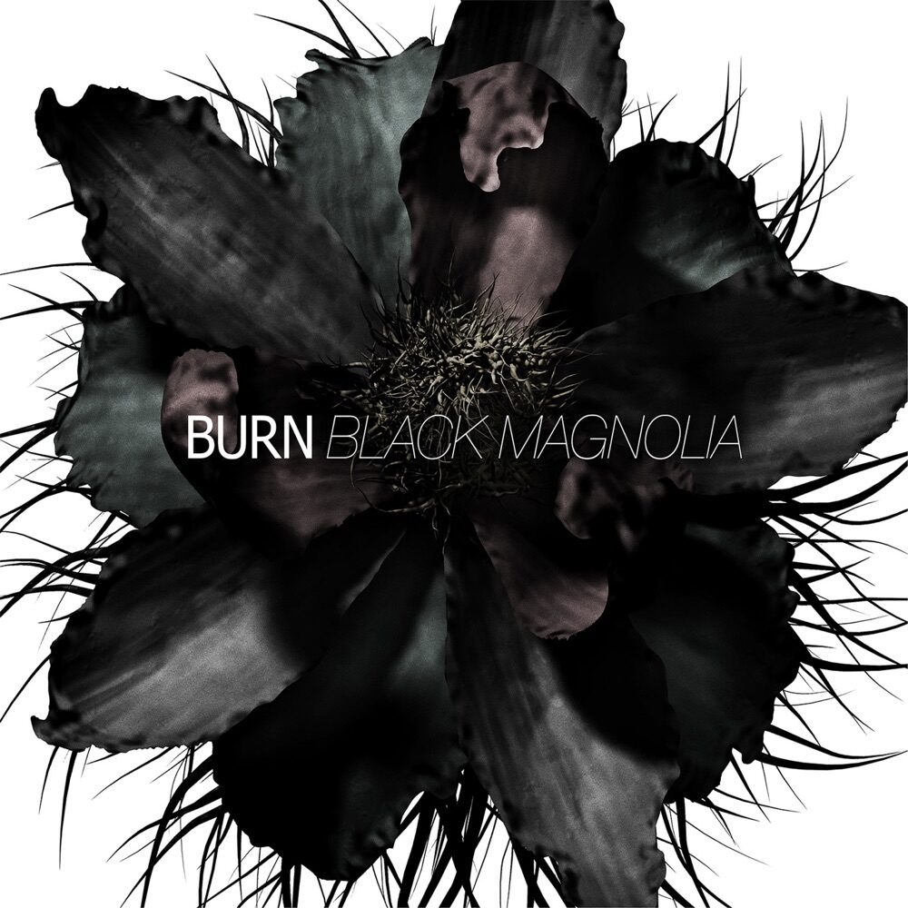 burn-blackmagnolia-1000x1000